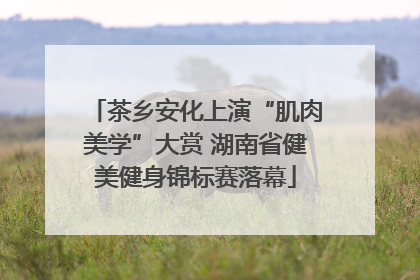 茶乡安化上演“肌肉美学”大赏 湖南省健美健身锦标赛落幕